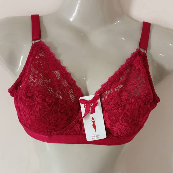 Galaxy Net Bra A1733