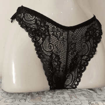 Lace Net Panties