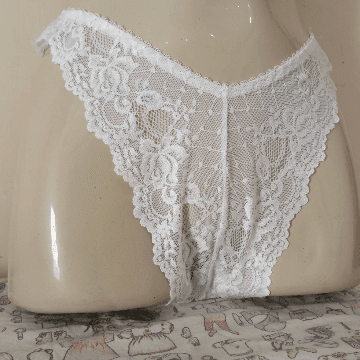Lace Net Panties