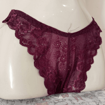 Lace Net Panties