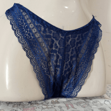 Lace Net Panties