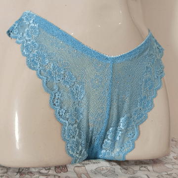 Lace Net Panties