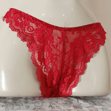 Lace Net Panties