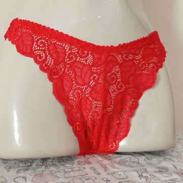 Lace Net Panties