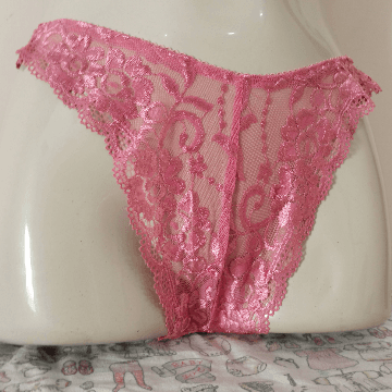 Lace Net Panties