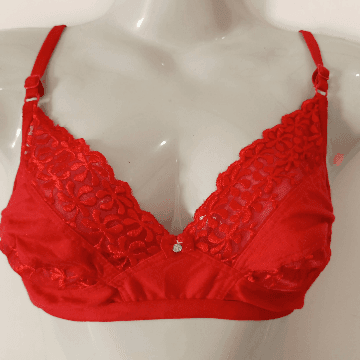 IN Embroided Cotton Bra