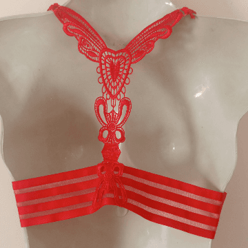 Butterfly Bra Panty Set