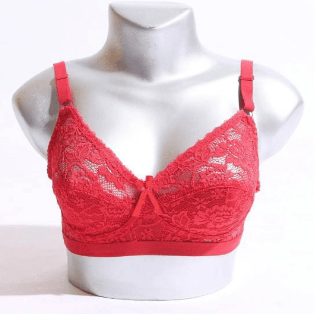 Red Galaxy Net Bra A1733