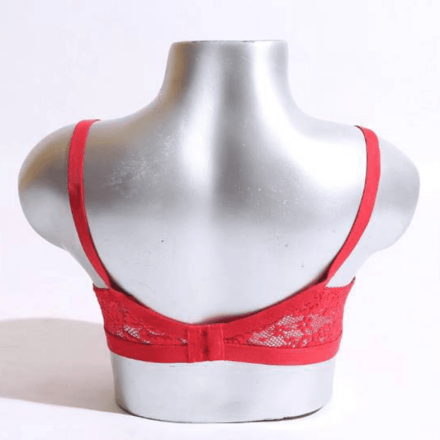 Red Galaxy Net Bra A1733